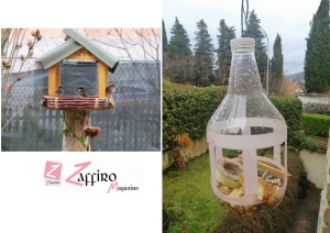 Freddo, mangiatoie e cibo per gli uccellini. Consigli per aiutarli.