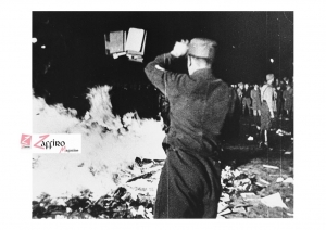Quando i nazisti decisero di bruciare libri contrari al terzo reich