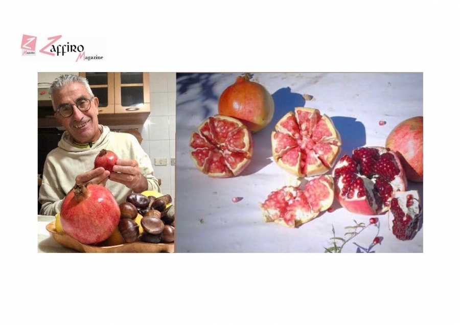 Il melograno: un dono dell’autunno che unisce sapore e leggenda