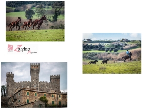 La Francigena e le vie del gusto in Tuscia