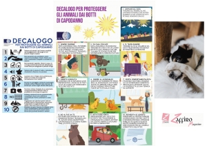 Botti di Capodanno: decalogo per proteggere il proprio amici animali.