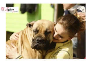 5mila cani 'morsicatori' abbattuti ogni anno. Solo 450 riconosciuti tali dall'autorit&agrave;.
