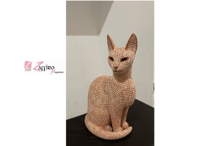 Il gatto