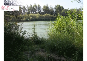 Abruzzo/Riserva Naturale Regionale del lago di Serranella