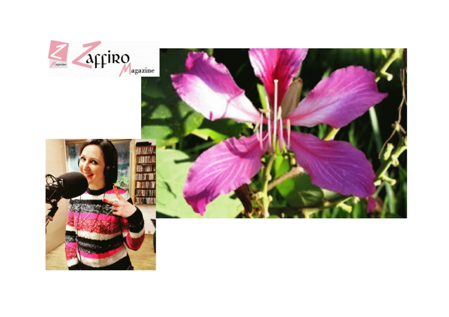 Fiori austrialiani. Bauhinia, il vaccino verde: per le rigidit&agrave; caratteriali