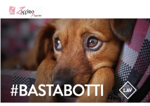 Capodanno. Feste felici, anche per gli animali: cosa fare durante i botti?