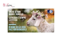 L'altra faccia della Pasqua, oltre 300 mila agnelli e capretti al macello per 5,62 euro al kg.
