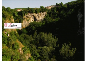 La memoria delle foibe e la rimozione dell&rsquo;oblio