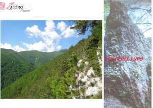 Abruzzo, il Dente di Lupo della Valle delle Monache. Cammino fresco e ombreggiato.