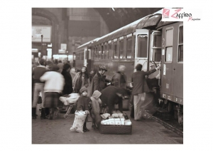 Le piante di fico d&rsquo;India nella masseria del nonno Turiddu