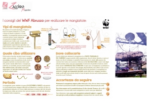Freddo invernale. Mangiatoie per gli amici uccellini: i consigli del WWF