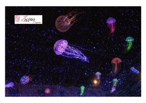 Salerno Luci d’Artista: una costellazione di scenografie luminose