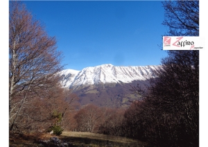 Rifugio Capoposto nel Parco Maiella. Profumo di neve fresca e il ricordo di un atroce fatto di cronaca.