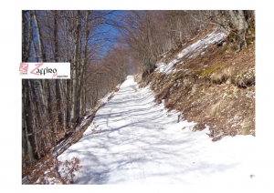 Mamma Rosa presa d'acqua di Fonte Tettone Colle Lenette