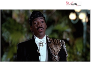 Il Principe cerca amore sequel, Akeem scopre di avere un figlio