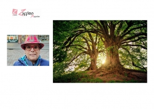 La storia di Moli e Lise