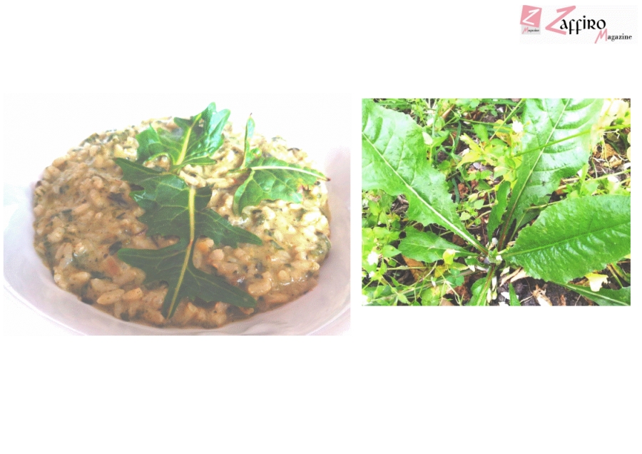 Ricette. Risotto con aspraggine