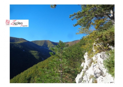 Piana delle Mele fonte Passo Di Carlantonio. Profumo balsamico di pini e vegetazione di abeti e faggi.