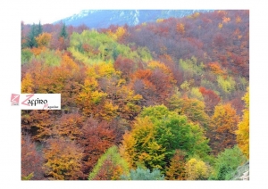 Abruzzo, foliage di novembre.