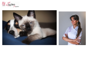 &ldquo;Fiori di Bach per Cani e Gatti&rdquo;