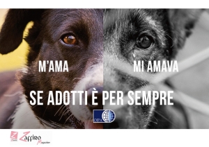 Cani! Anche l&rsquo;abbandono legalizzato &egrave; un abbandono.