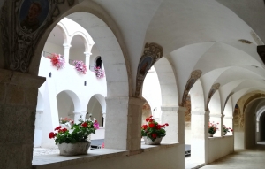 Aquilartes, riprendono le visite sensoriali - video