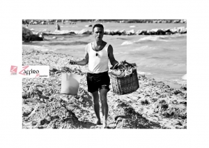 IL COCCO BELLOOOOO&hellip; fra ricordi e tormentone