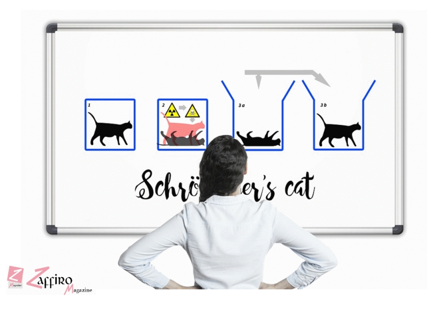 Il gatto di Schr&ouml;dinger, il paradosso che cerca una soluzione