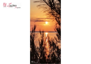 Un bel tuffo come Paperon De Paperoni nel deposito dei dobloni