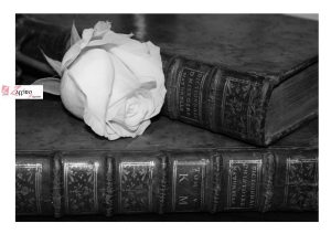 23 Aprile &egrave; la Giornata del libro e delle rose. Ecco perch&egrave;.