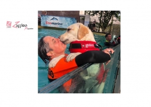 Splash Dog per la Giornata Mondiale del Cane a Zoomarine.