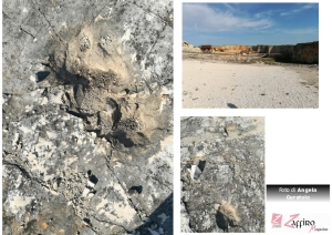 le orme dei dinosauri