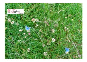 Escursioni in Abruzzo. Eremo Sant' Onofrio.