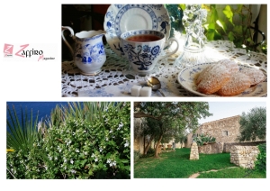 Una giornata particolare nella campagna siciliana e la scoperta di una piantagione sconosciuta